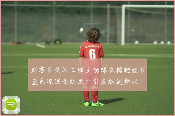 新赛季武汉三镇主场球衣揭晓经典蓝色深浅条纹设计引发球迷热议
